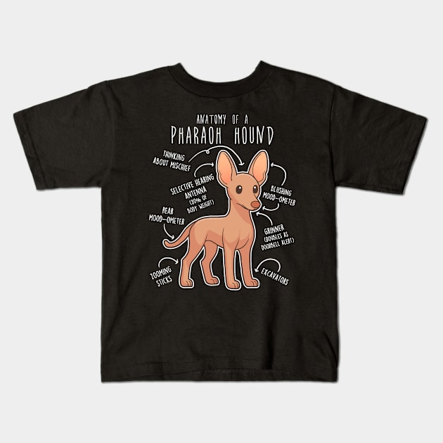 Pharaoh Hound Dog Anatomy Kids T-Shirt by Psitta
